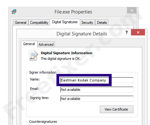 Screenshot of the Eastman Kodak Company certificate